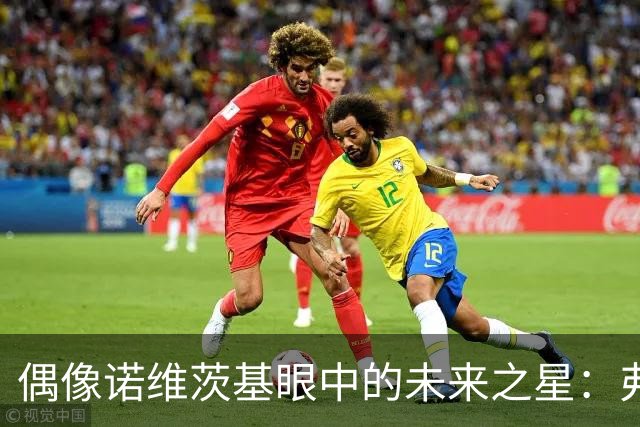 偶像诺维茨基眼中的未来之星：弗拉格的狂热与潜力